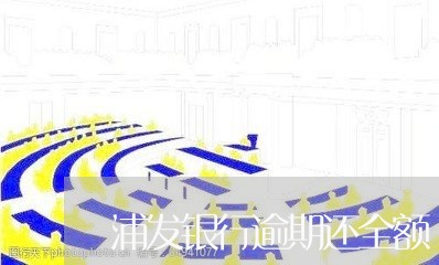 浦发银行逾期还全额/2023020796059