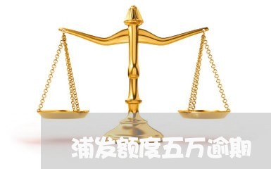 浦发额度五万逾期/2023021518916