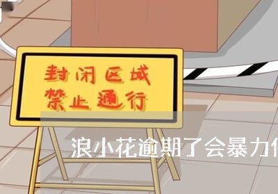 浪小花逾期了会暴力催收么