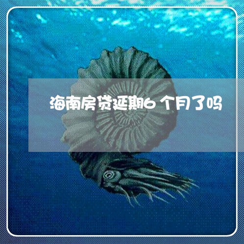 海南房贷延期6个月了吗/2023060960914