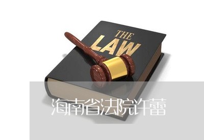海南省法院许蕾