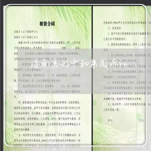 海南美好中和集团诉讼 海南美好中和集团诉讼