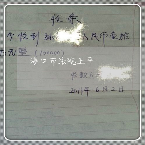 海口市法院王平
