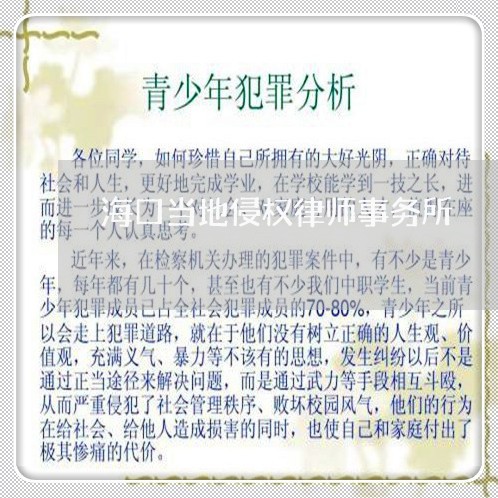 海口当地侵权律师事务所
