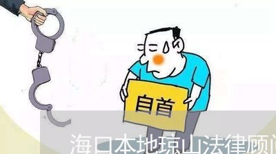 海口本地琼山法律顾问/2023061759403 海口本地琼山法律顾问/2023061759403