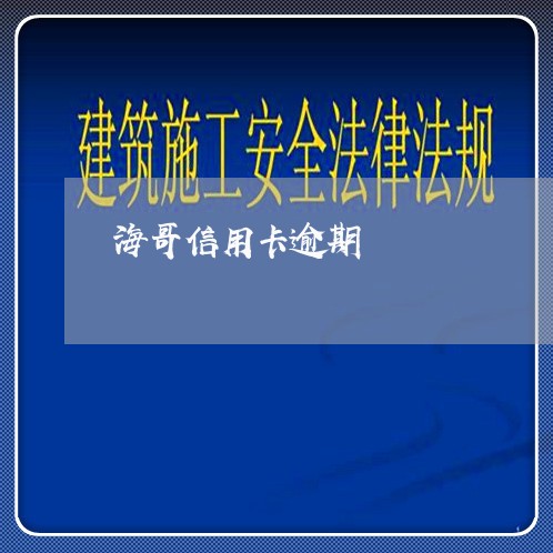 海哥信用卡逾期/2023020195370