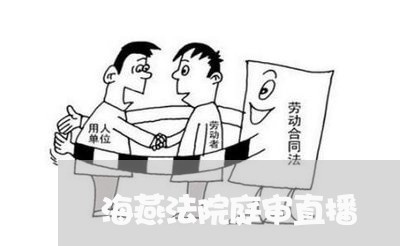 海燕法院庭审直播 海燕法院庭审直播