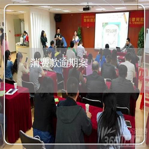 消费款逾期案