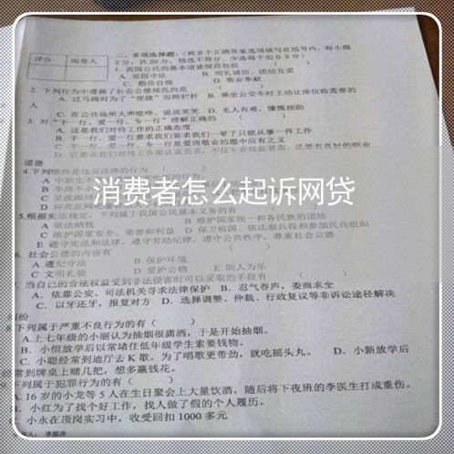 消费者怎么起诉网贷/2023112573848