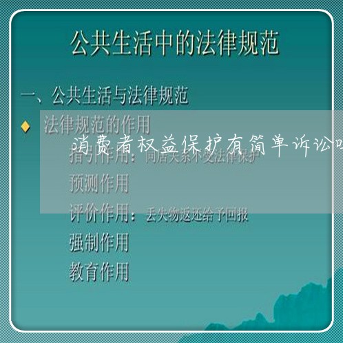 消费者权益保护有简单诉讼吗