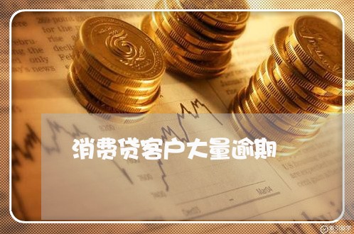 消费贷客户大量逾期/2023102462635