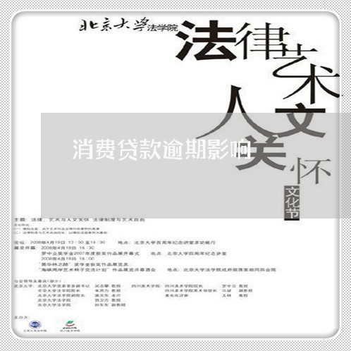 消费贷款逾期影响/2023020259482 消费贷款逾期影响/2023020259482