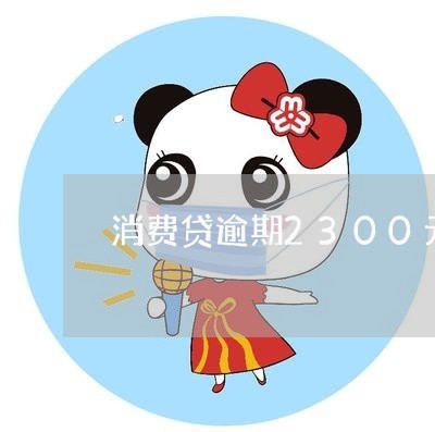 消费贷逾期2300元/2023102515958