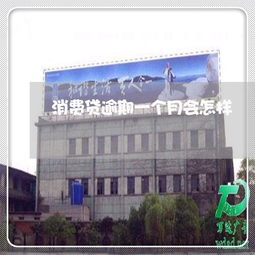 消费贷逾期一个月会怎样 消费贷逾期一个月会怎样