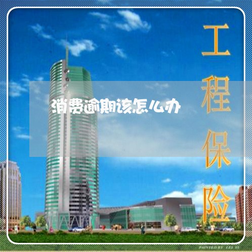 消费逾期该怎么办 消费逾期该怎么办