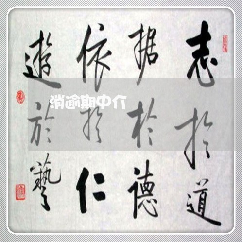 消逾期中介