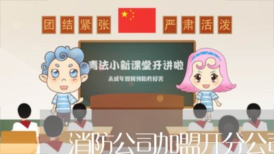 消防公司加盟开分公司合同怎么写/2023060560461