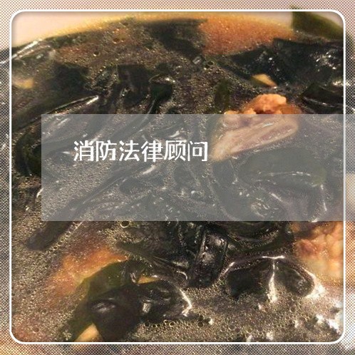 消防法律顾问/2023061784946
