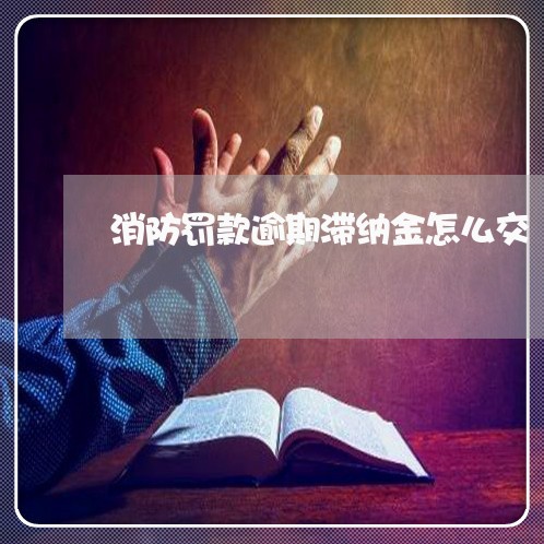 消防罚款逾期滞纳金怎么交 消防罚款逾期滞纳金怎么交