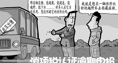 消项税认证逾期申报