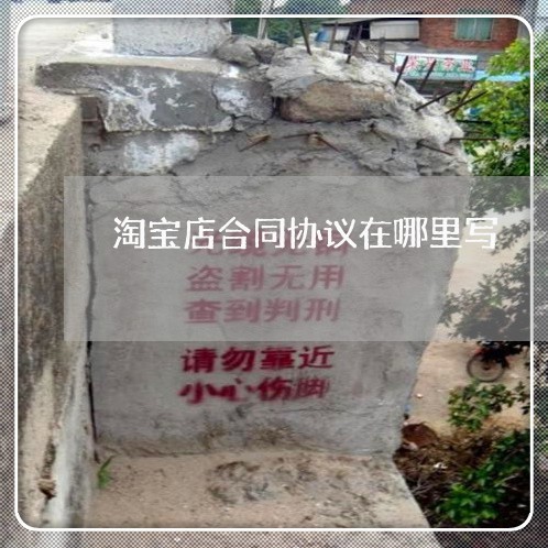 淘宝店合同协议在哪里写/2023011795838 淘宝店合同协议在哪里写/2023011795838