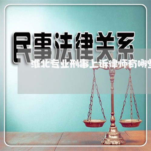 淮北专业刑事上诉律师有哪些/2023061136360