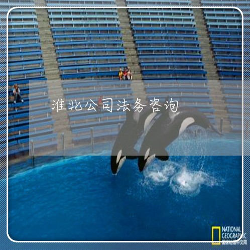 淮北公司法务咨询 淮北公司法务咨询