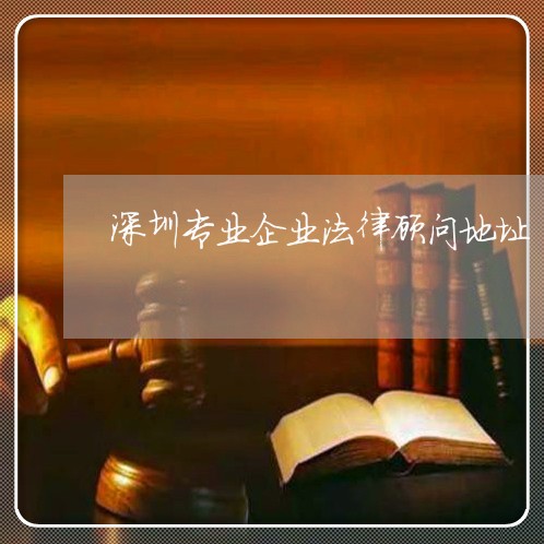 深圳专业企业法律顾问地址/2023061849290