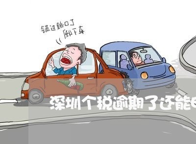 深圳个税逾期了还能申报么/2023060416250