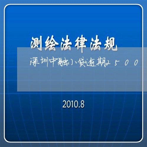 深圳中融小贷逾期2500/2023060592815