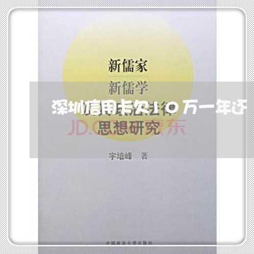 深圳信用卡欠10万一年还 深圳信用卡欠10万一年还