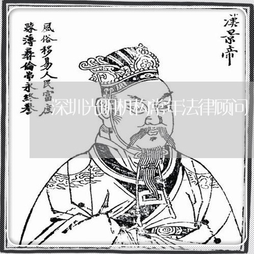深圳光明机构常年法律顾问/2023061914937