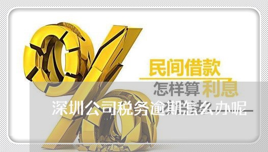 深圳公司税务逾期怎么办呢/2023060575827