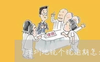 深圳地税个税逾期怎么办理/2023042301705