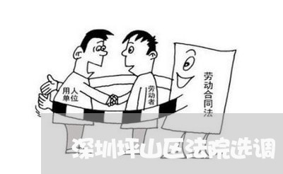 深圳坪山区法院选调