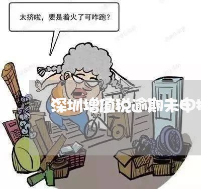 深圳增值税逾期未申报/2023102695036