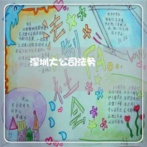 深圳大公司法务 深圳大公司法务