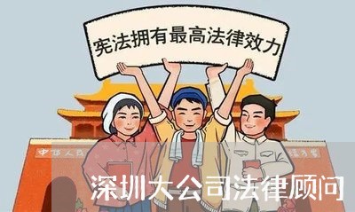 深圳大公司法律顾问