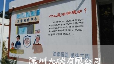 深圳大状有限公司