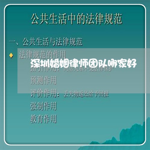 深圳婚姻律师团队哪家好