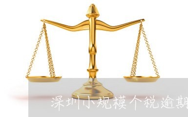 深圳小规模个税逾期申报吗