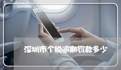深圳市个税逾期罚款多少 深圳市个税逾期罚款多少