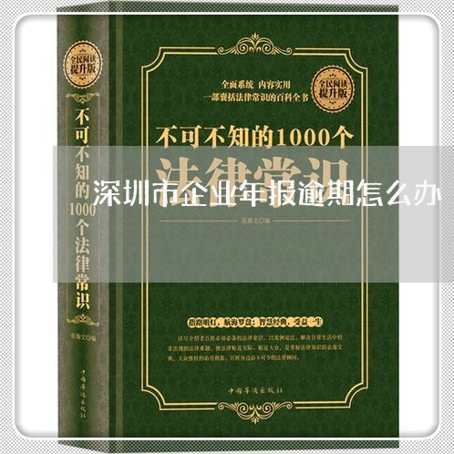 深圳市企业年报逾期怎么办/2023032462503