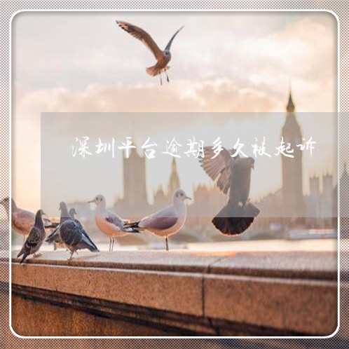 深圳平台逾期多久被起诉