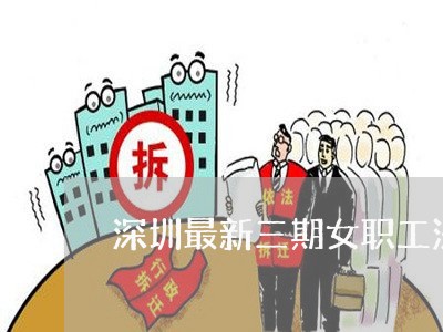 深圳最新三期女职工法规