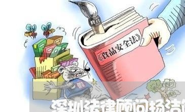 深圳法律顾问杨洁简历/2023061722602
