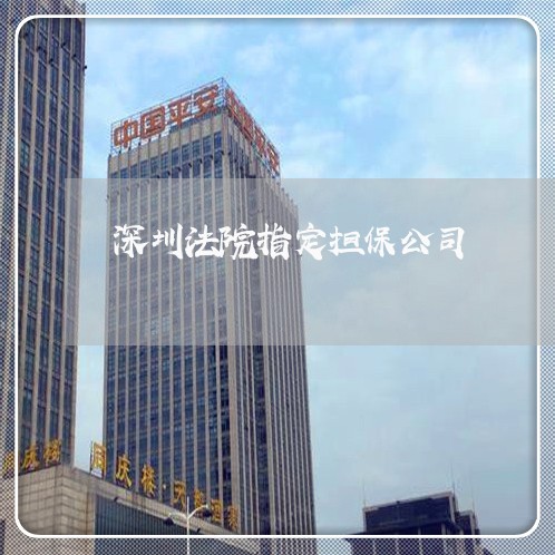 深圳法院指定担保公司