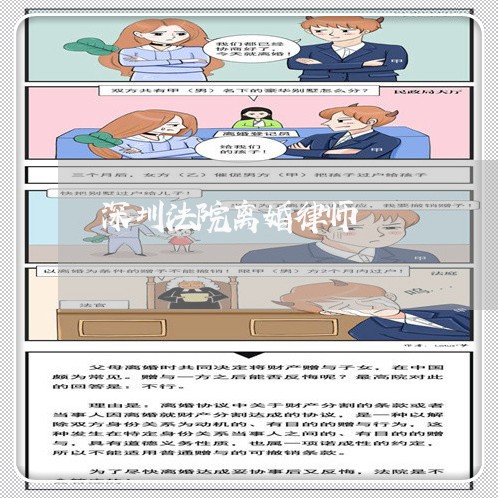 深圳法院离婚律师 深圳法院离婚律师