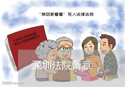 深圳法院臂章