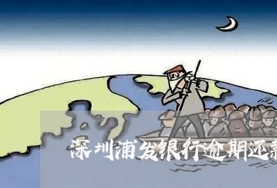 深圳浦发银行逾期还款协商/2023071260502